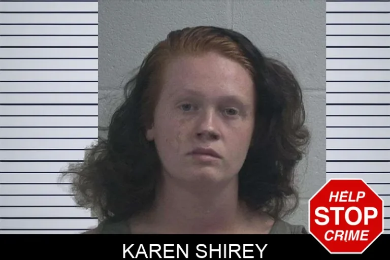Karen Shirey mugshot – McDuffie County , Georgia Karen Shirey
