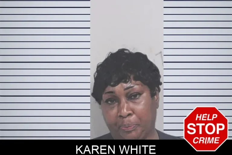 Karen White
