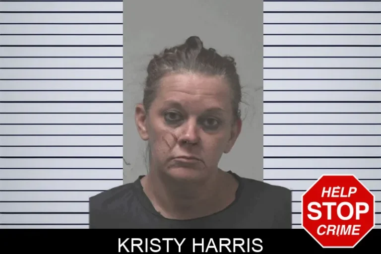 Kristy Harris mugshot – Coweta County , Georgia Kristy Harris