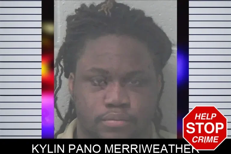 Kylin Pano Merriweather