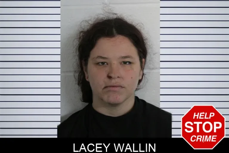 Lacey Wallin