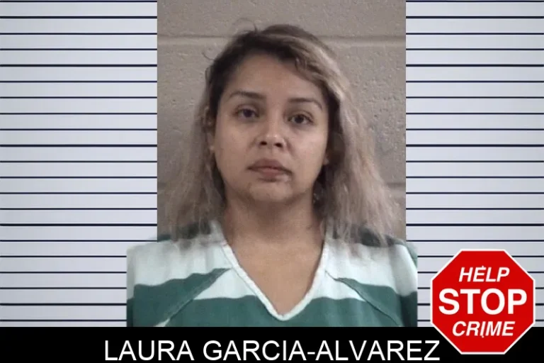 Laura Garcia-Alvarez