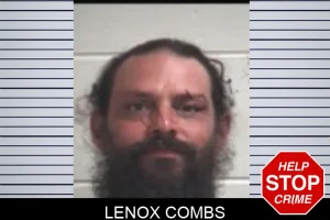 Lenox Combs mugshot