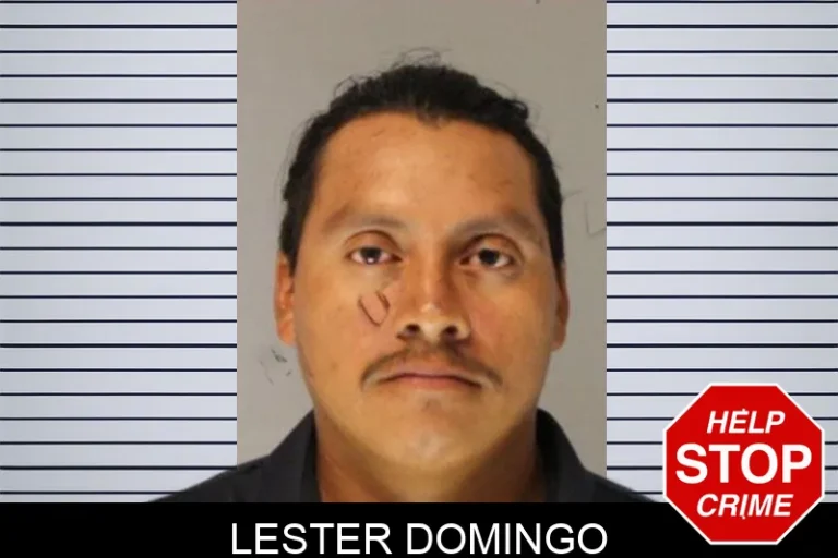 Lester Domingo
