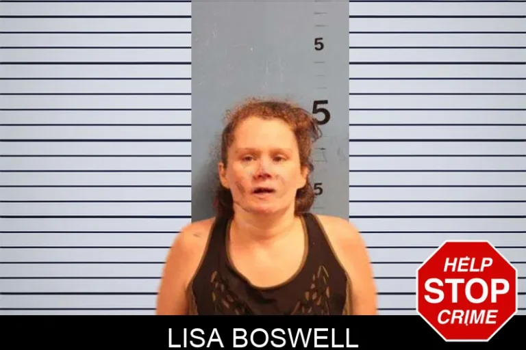 Lisa Boswell mugshot – Monroe County , Georgia Lisa Boswell