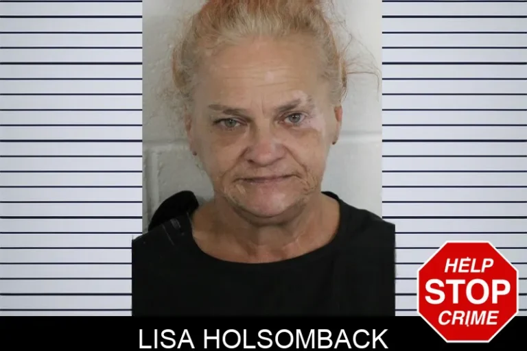 Lisa Holsomback