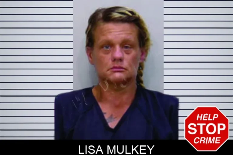 Lisa Mulkey