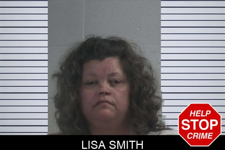 Lisa Smith mugshot – McDuffie County , Georgia Lisa Smith