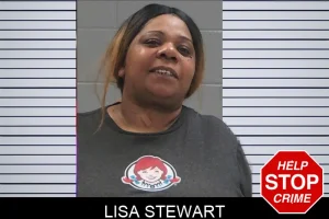 Lisa Stewart mugshot