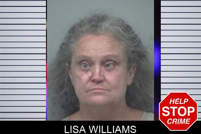 Lisa Williams mugshot – Gwinnett County , Georgia Lisa Williams