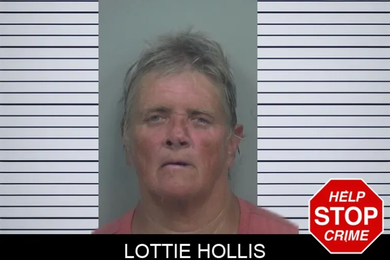 Lottie Hollis mugshot – Gwinnett County , Georgia Lottie Hollis