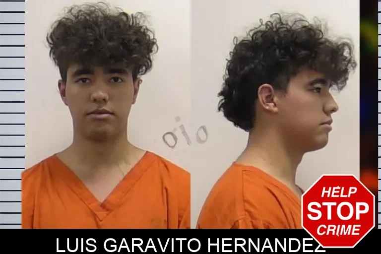 Luis Garavito Hernandez