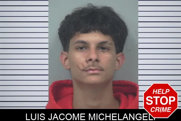 Luis Jacome Michelangeli