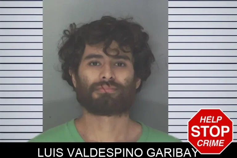 Luis Valdespino Garibay