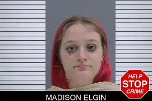 Madison Elgin mugshot