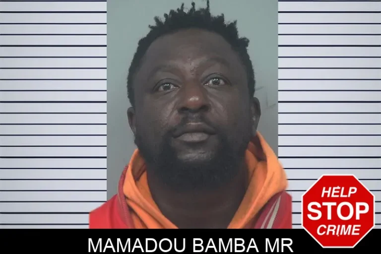 Mamadou Bamba Mr