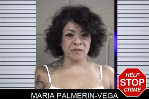 Maria Palmerin-Vega mugshot