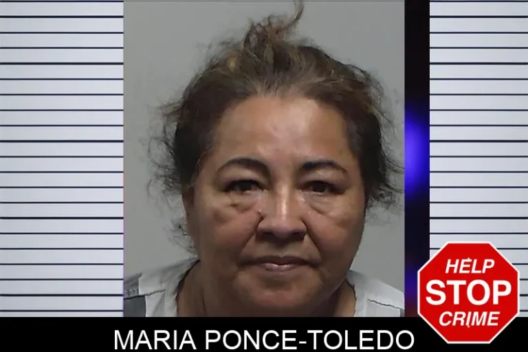 Maria Ponce-Toledo