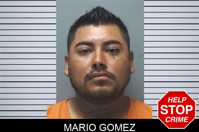 Mario Gomez