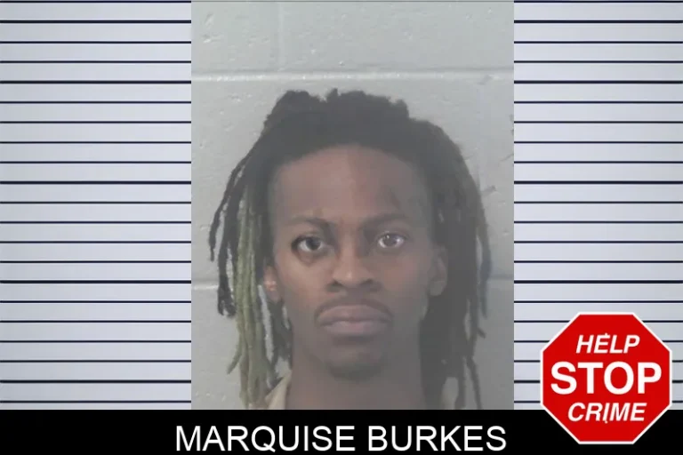 Marquise Burkes