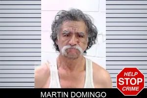 Martin Domingo mugshot