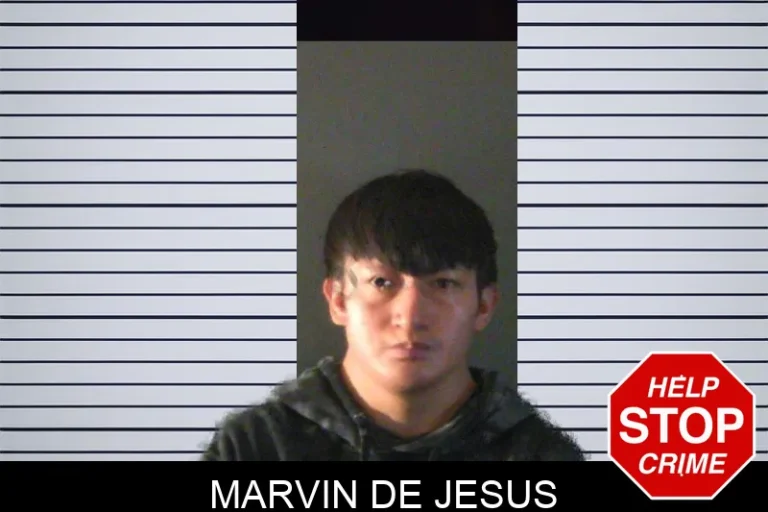 Marvin De Jesus mugshot – Cherokee County , Georgia Marvin De Jesus