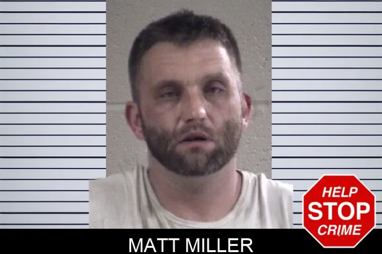 Matt Miller