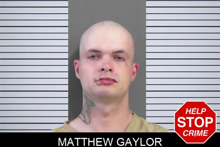 Matthew Gaylor