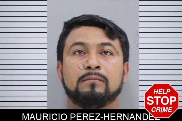 Mauricio Perez-Hernandez