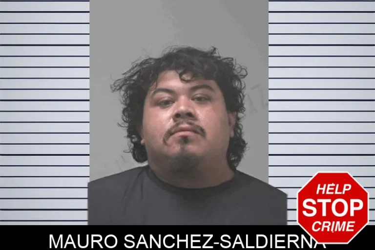 Mauro Sanchez-Saldierna