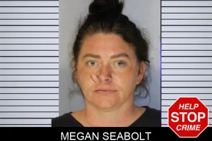 Megan Seabolt mugshot