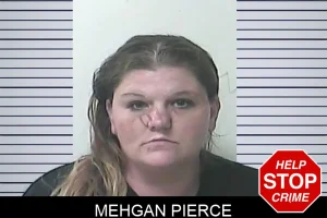 Mehgan Pierce mugshot