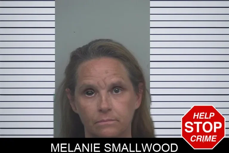 Melanie Smallwood mugshot – Gwinnett County , Georgia Melanie Smallwood