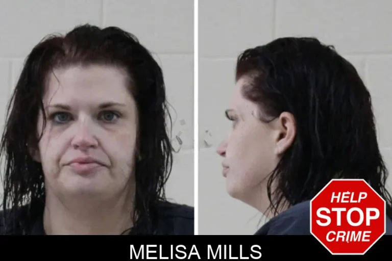 Melisa Mills mugshot – Houston County , Georgia Melisa Mills