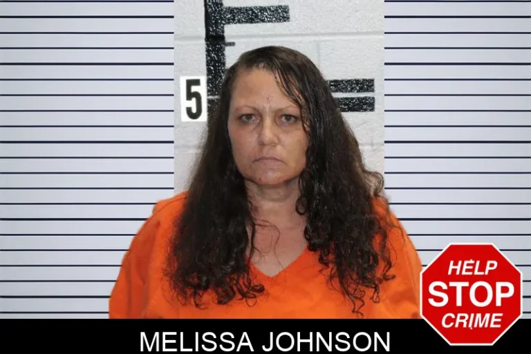Melissa Johnson mugshot – Murray County , Georgia Melissa Johnson