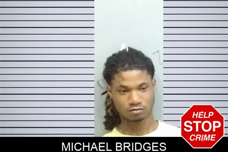 Michael Bridges