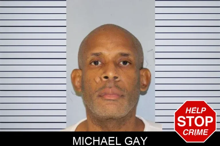 Michael Gay