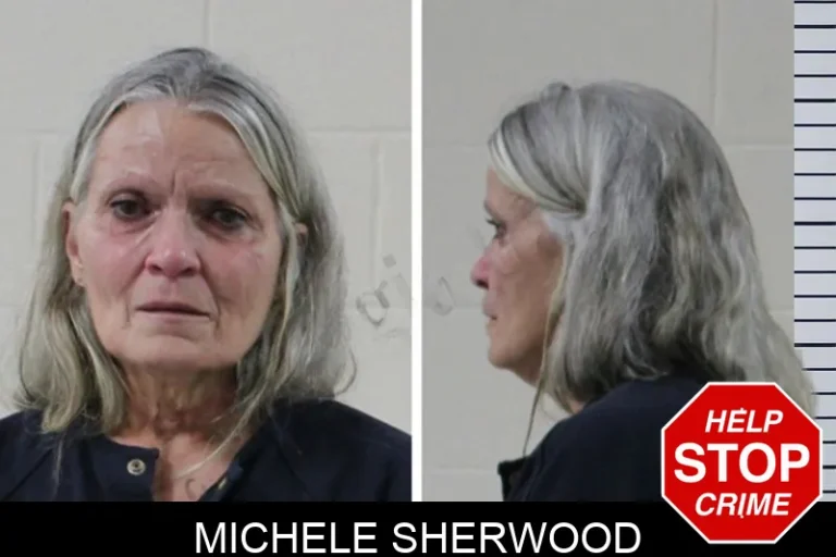 Michele Sherwood mugshot – Houston County , Georgia Michele Sherwood