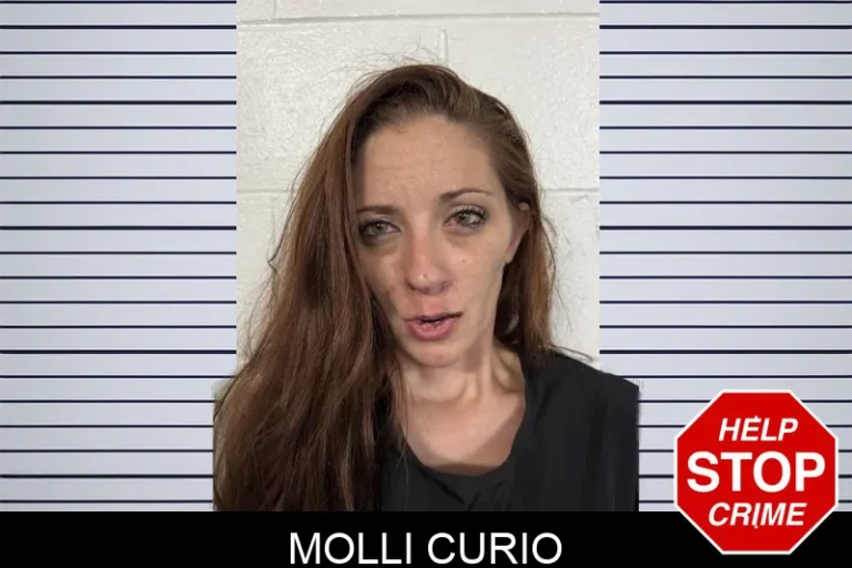 Molli Curio