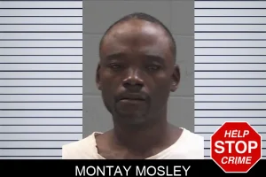 Montay Mosley mugshot