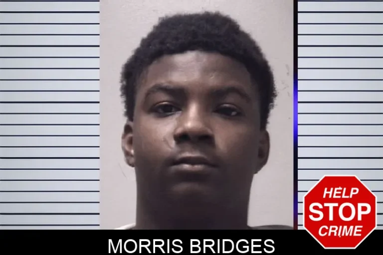 Morris Bridges