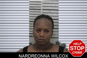 Nardreonna Wilcox mugshot