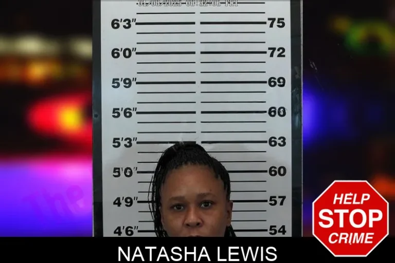 Natasha Lewis mugshot – Hart County , Georgia Natasha Lewis