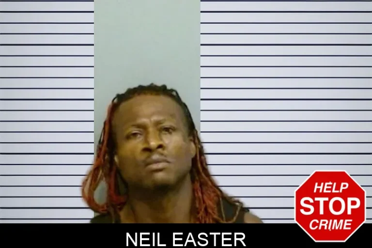 Neil Easter