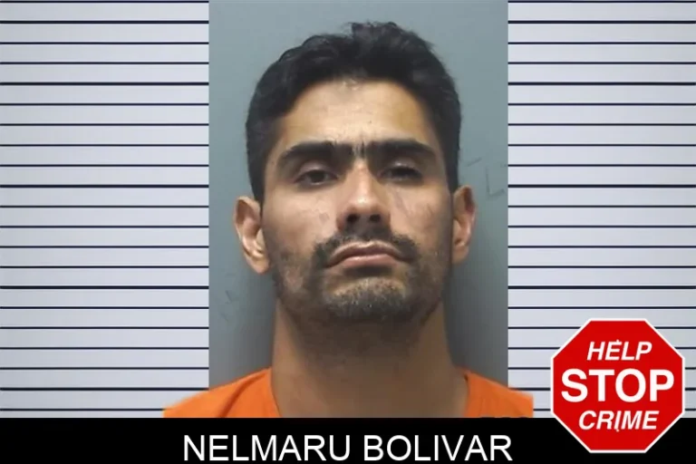 Nelmaru Bolivar