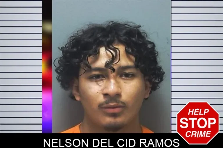 Nelson Del Cid Ramos