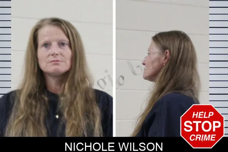 Nichole Wilson mugshot – Houston County , Georgia Nichole Wilson