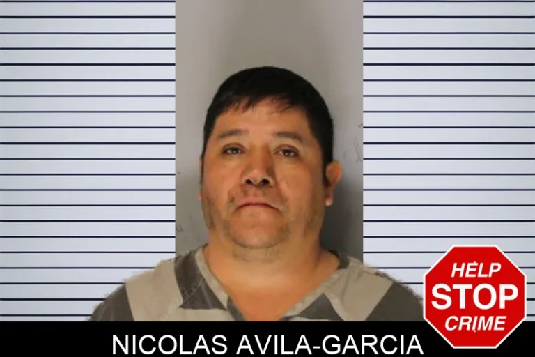 Nicolas Avila-Garcia