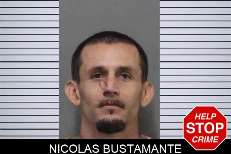 Nicolas Bustamante