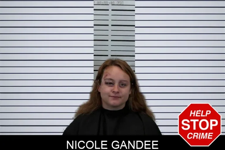 Nicole Gandee mugshot β Hart County , Georgia Nicole Gandee